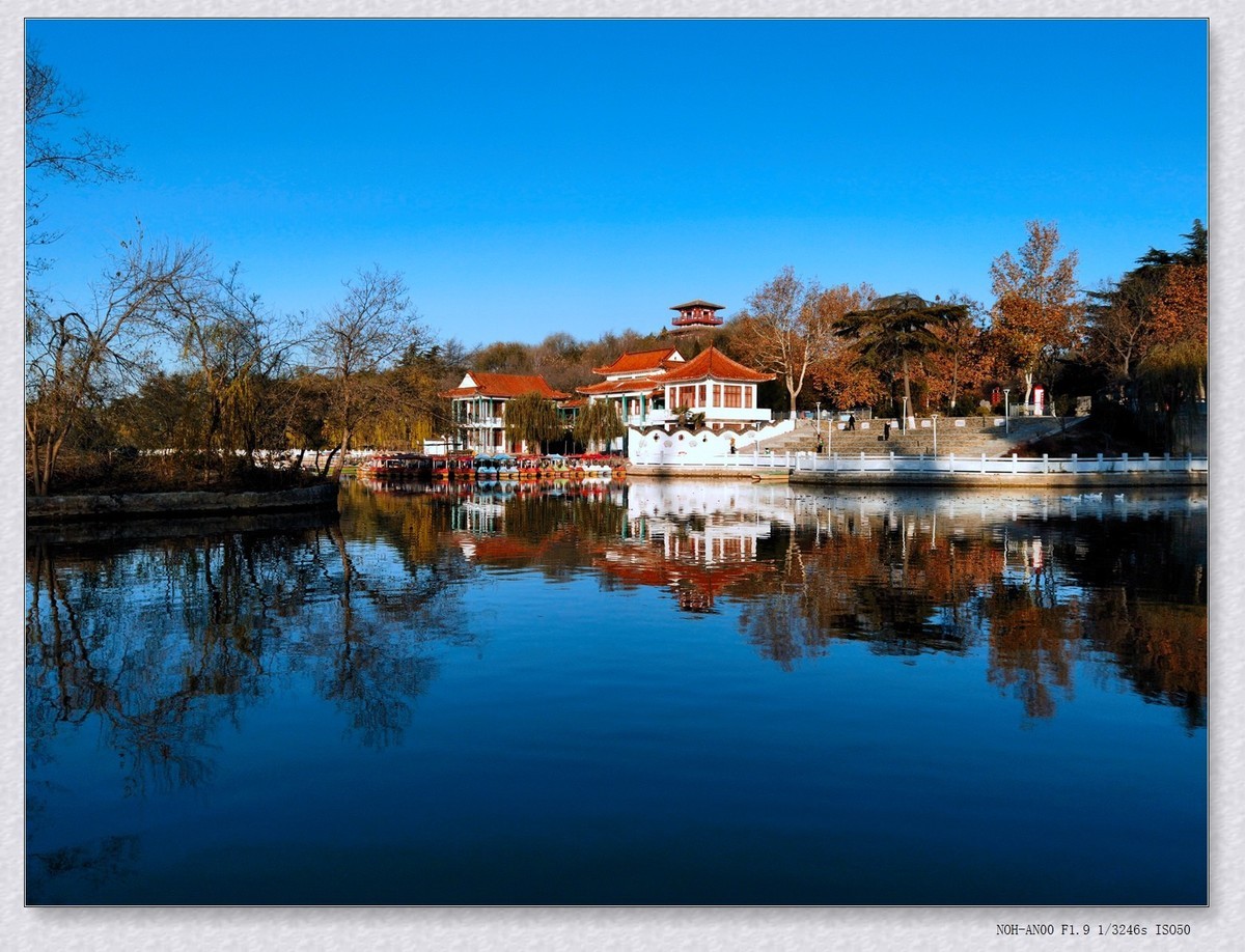 甲辰年冬拍【2024-204】