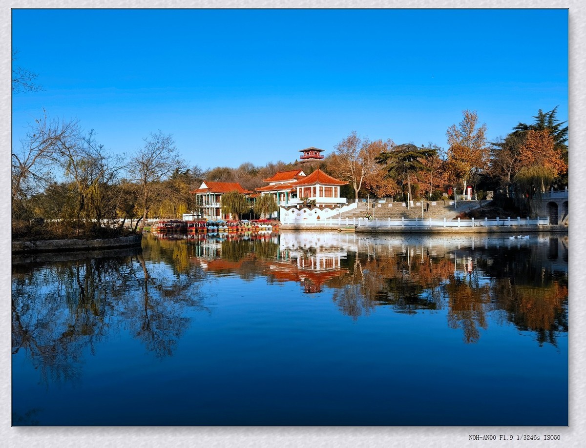 甲辰年冬拍【2024-204】