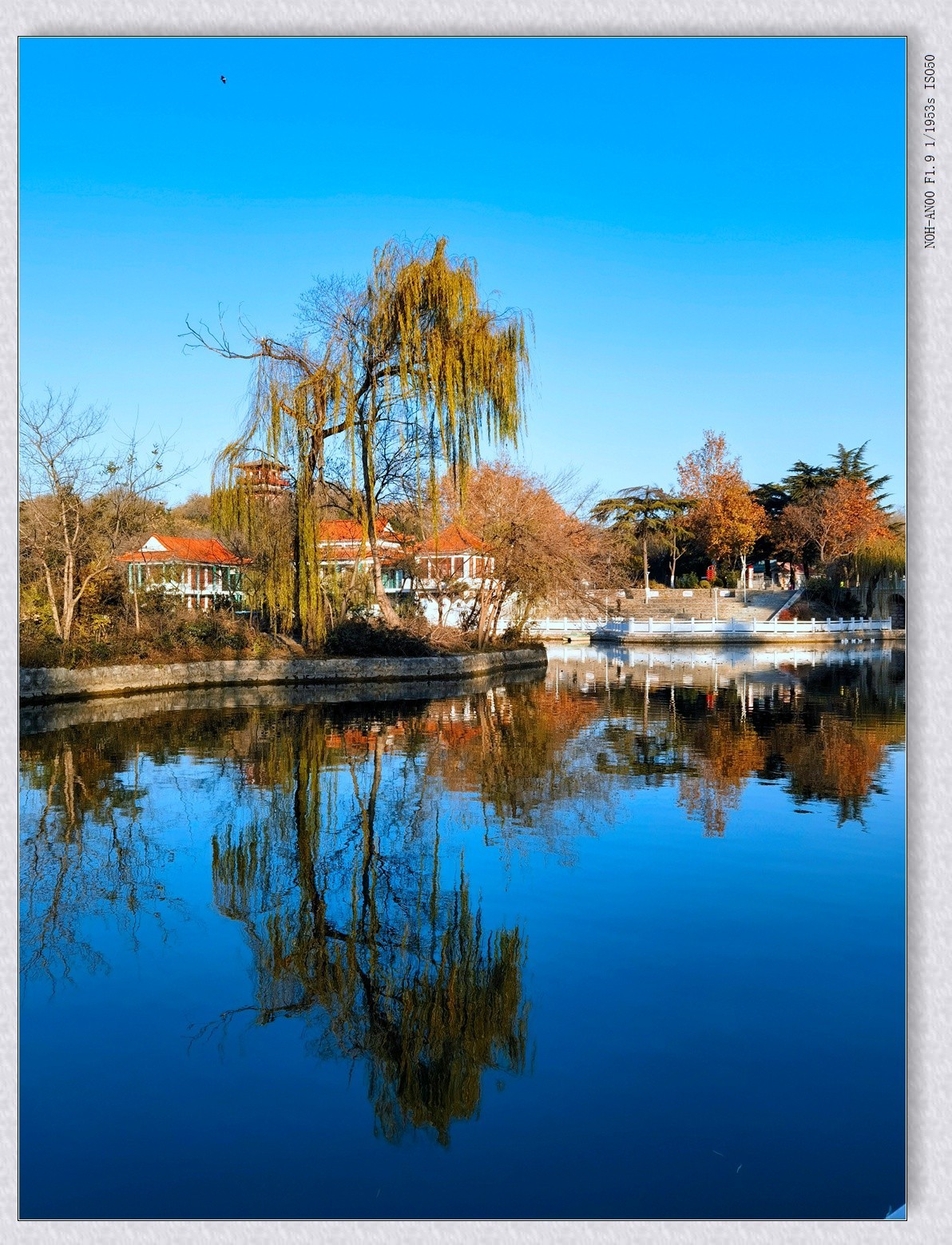 甲辰年冬拍【2024-204】