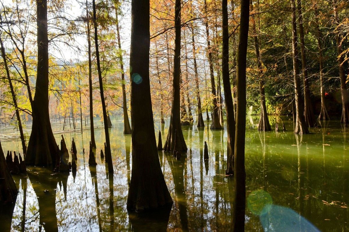 冬日景色如秋（二）