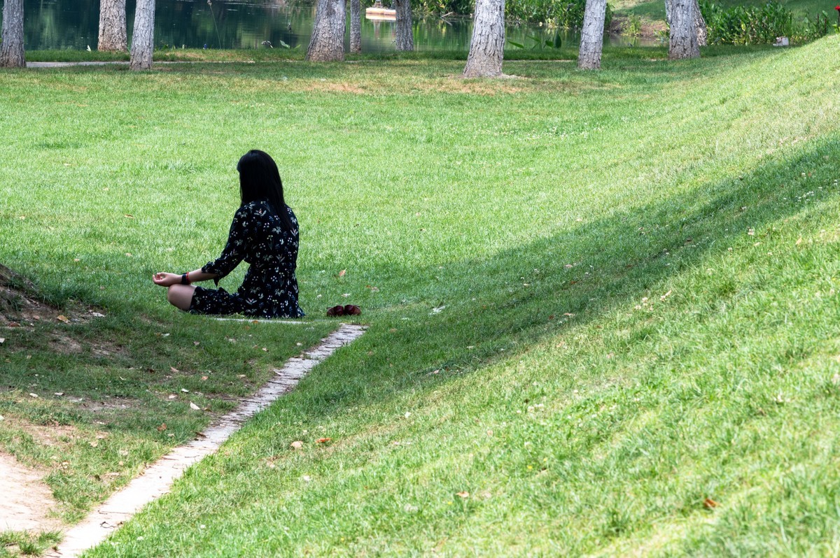 庐州印象（467）半岛公园