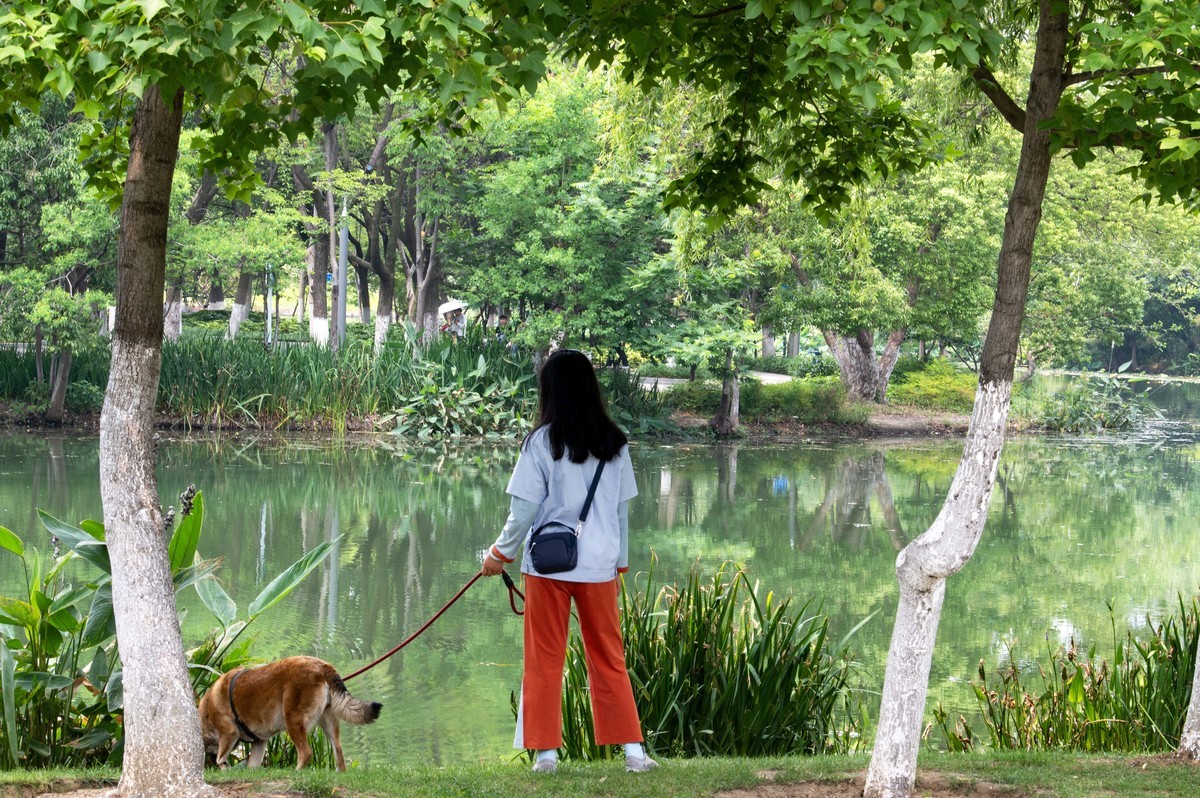 庐州印象（467）半岛公园