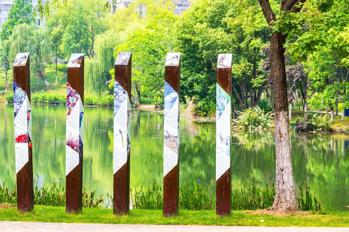 庐州印象（467）半岛公园