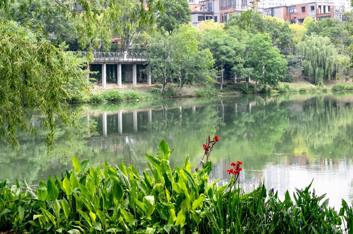 庐州印象（467）半岛公园