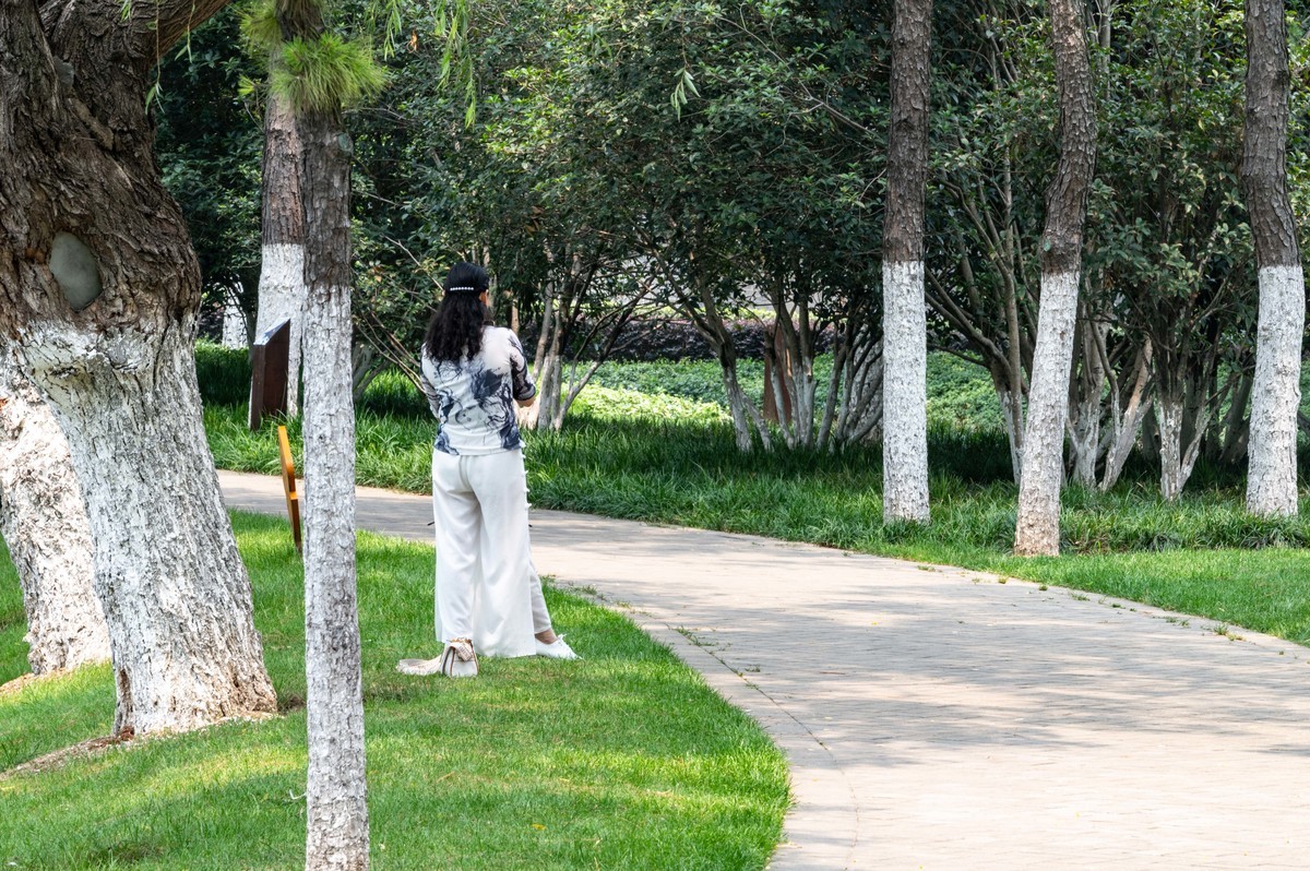 庐州印象（467）半岛公园