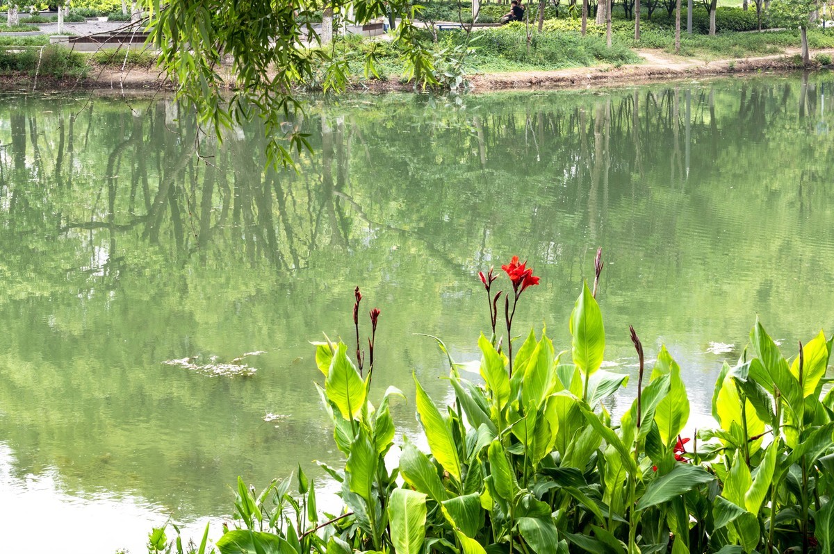 庐州印象（467）半岛公园