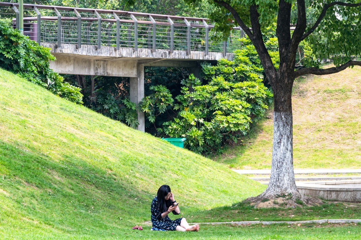 庐州印象（467）半岛公园