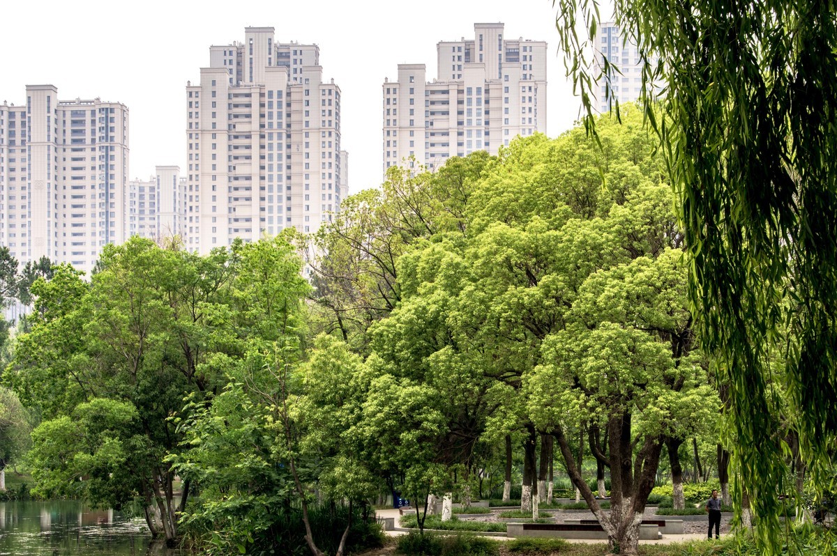 庐州印象（467）半岛公园