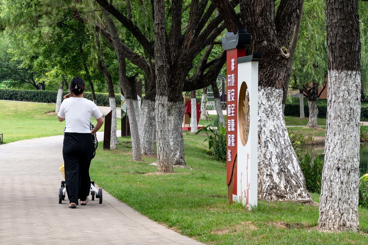 庐州印象（467）半岛公园