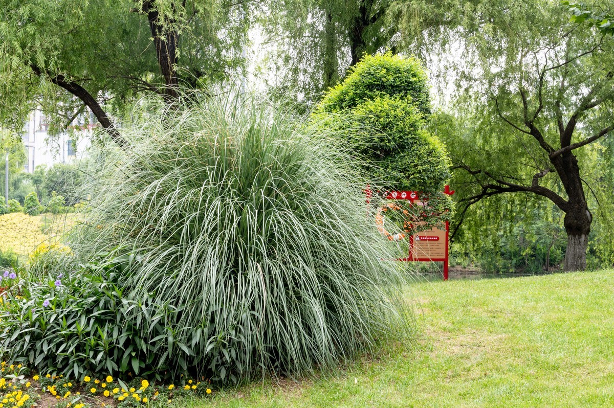 庐州印象（467）半岛公园