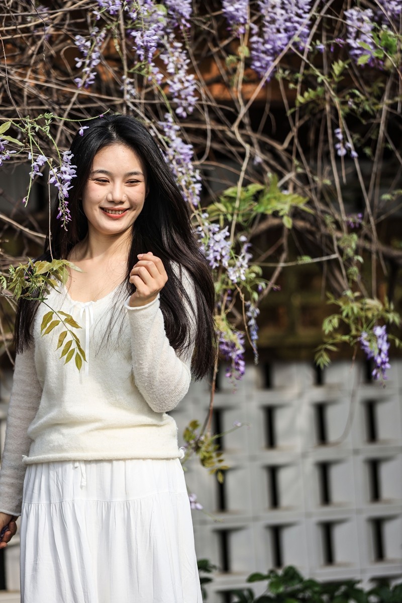 月湖公园紫畴滕花--7