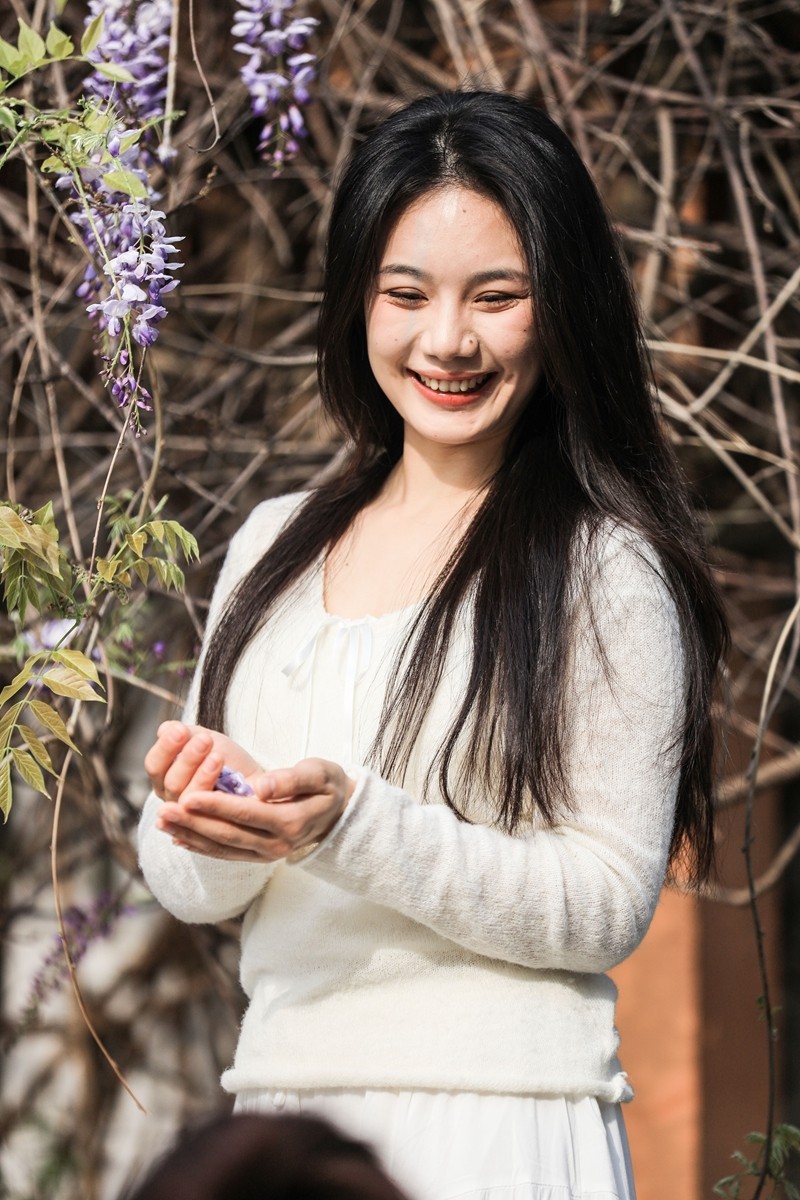 月湖公园紫畴滕花--7