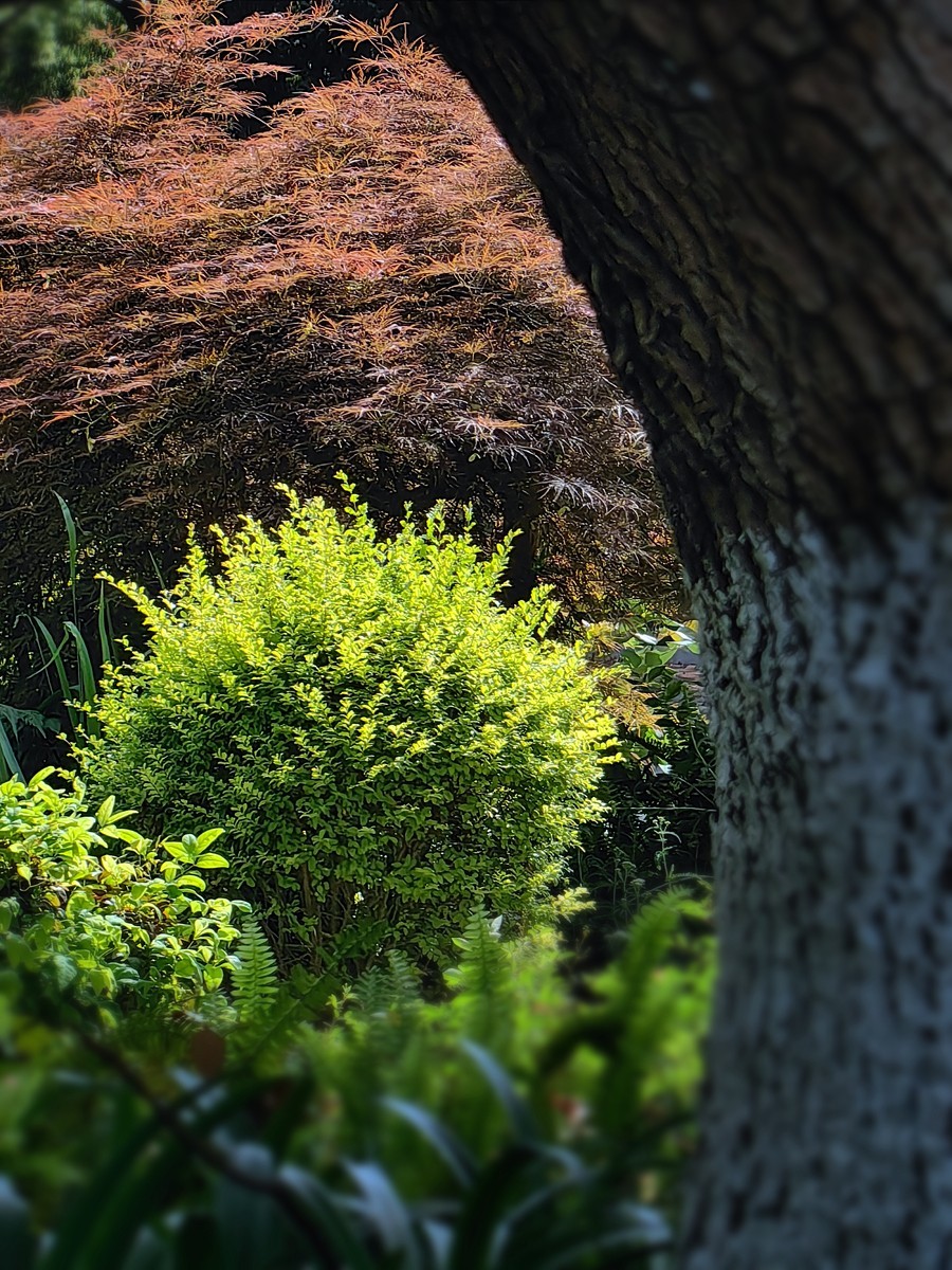 假日宁波帮公园随拍