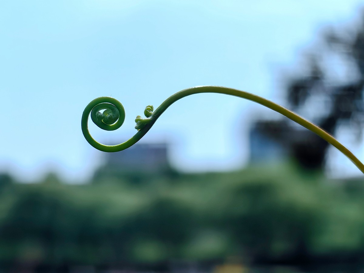 假日宁波帮公园随拍