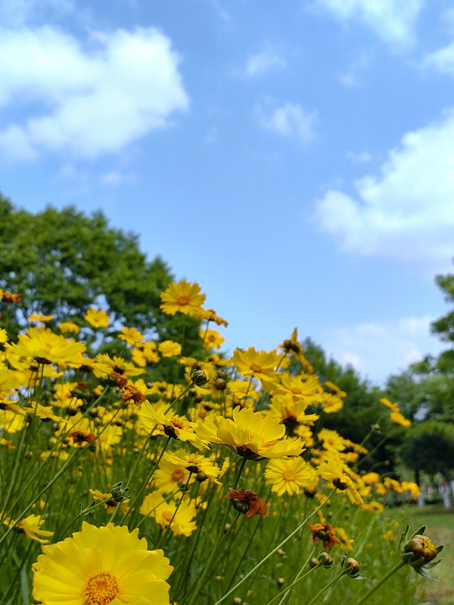 假日宁波帮公园随拍
