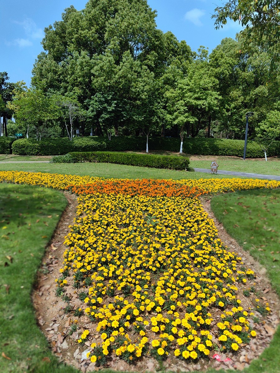 假日宁波帮公园随拍