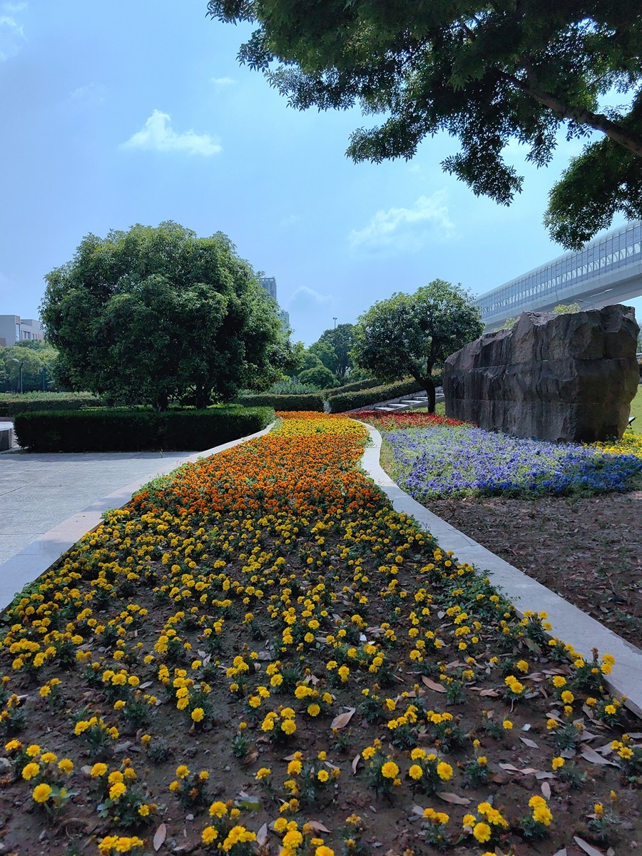 假日宁波帮公园随拍