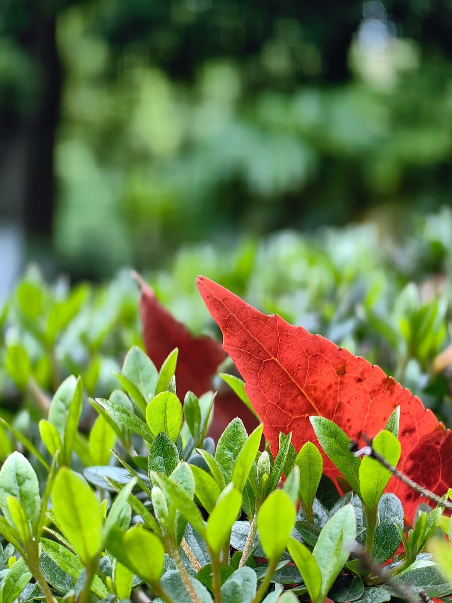 假日宁波帮公园随拍