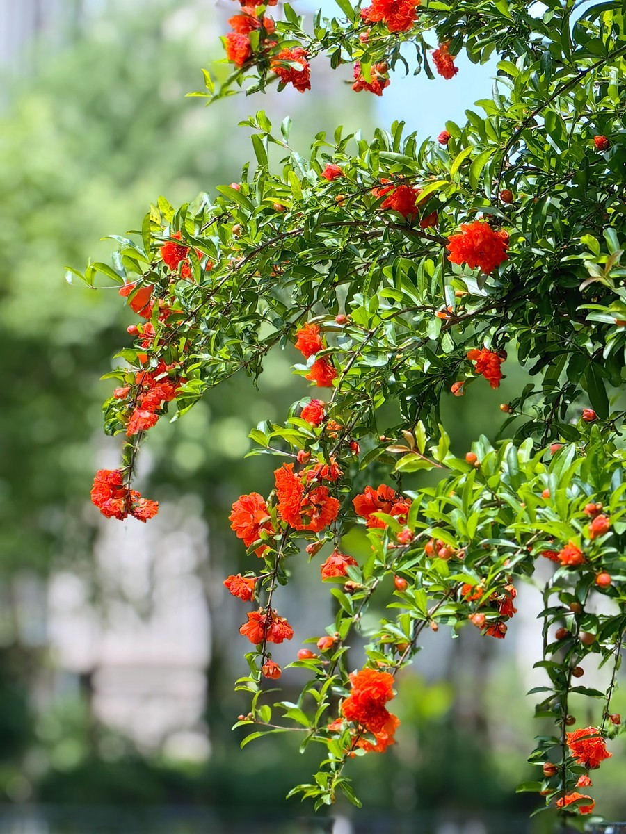 假日宁波帮公园随拍