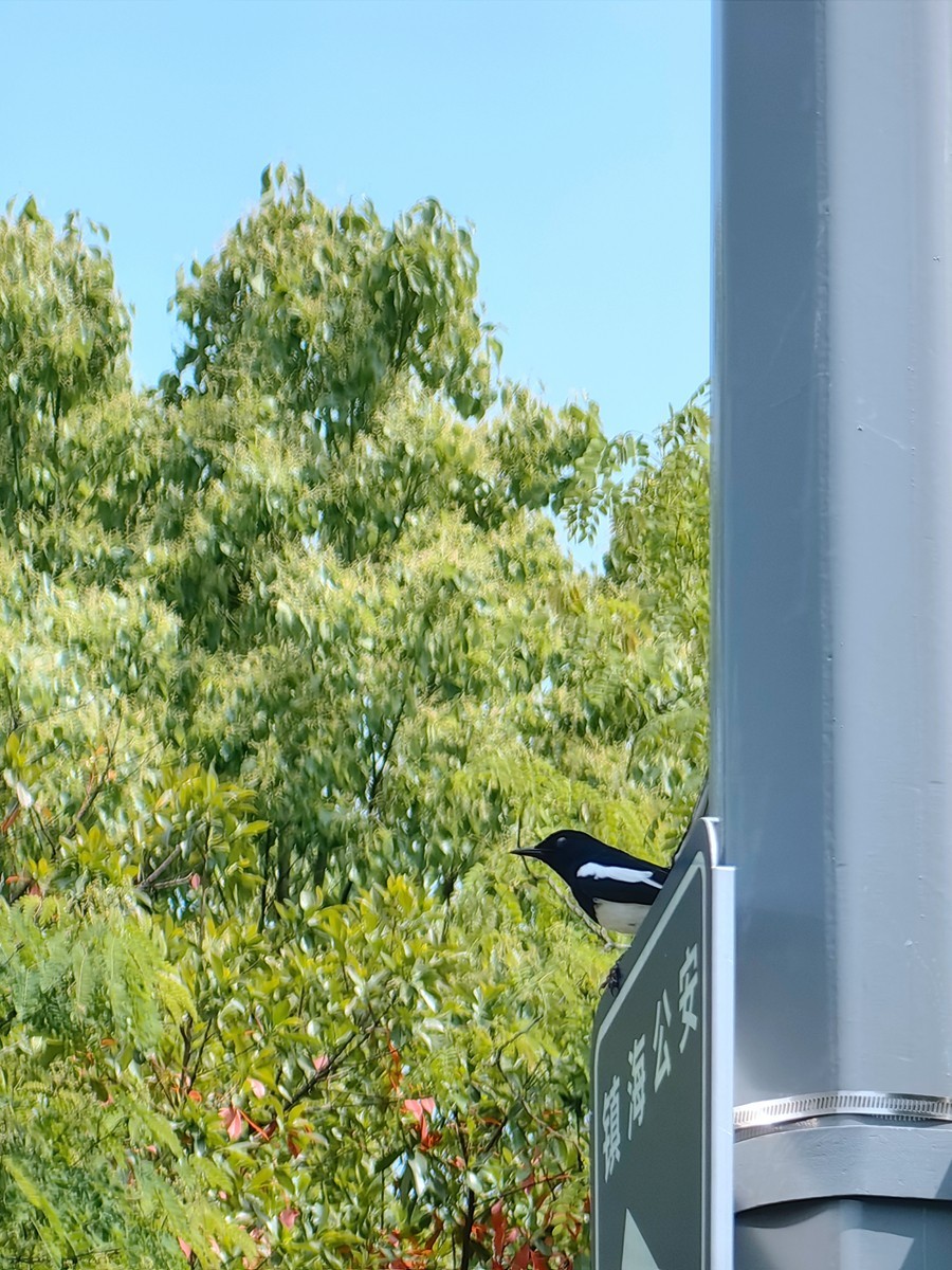 假日宁波帮公园随拍