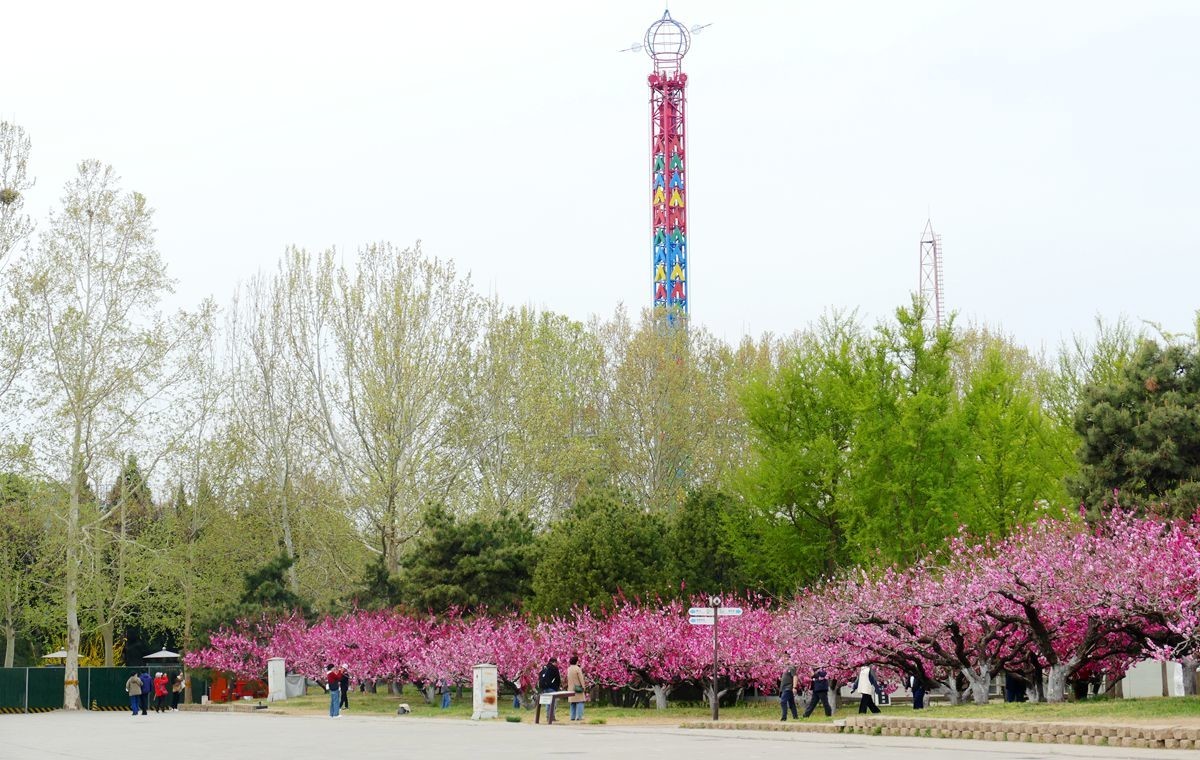 朝阳公园-春【下】