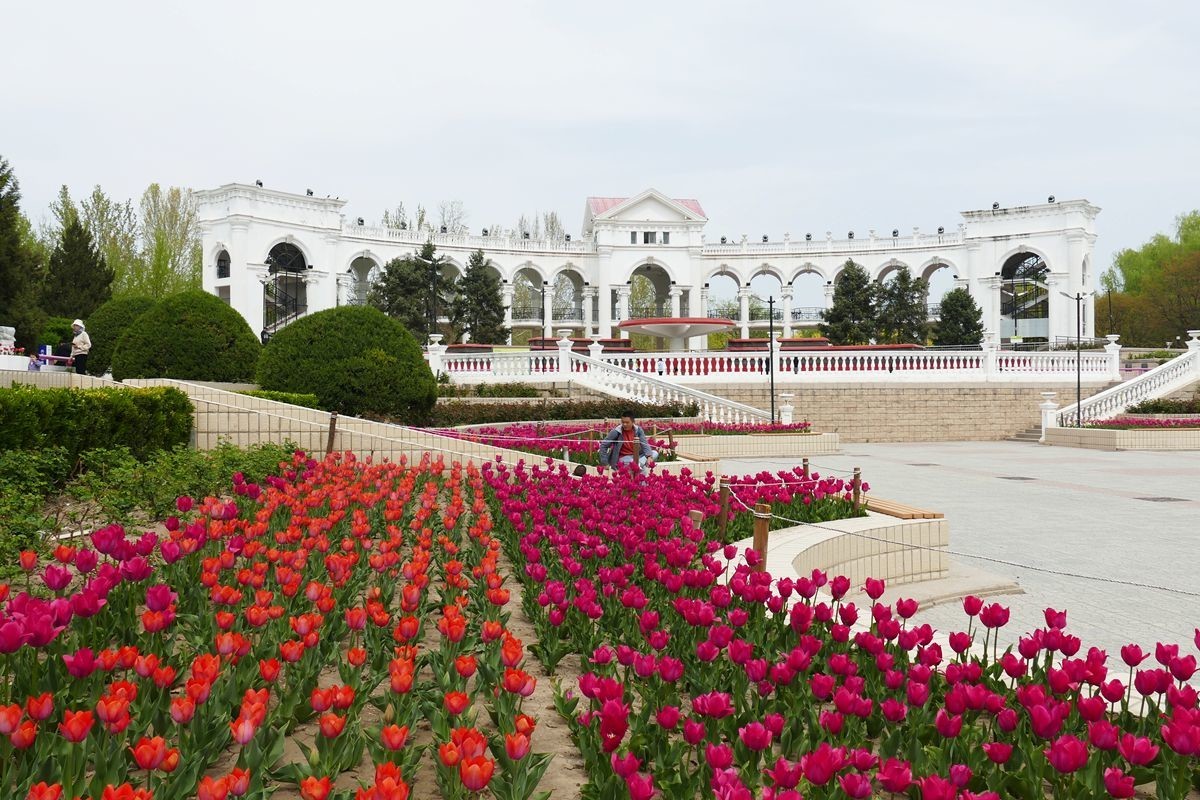 朝阳公园-春【下】