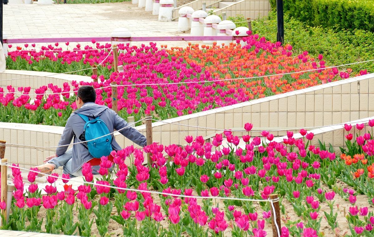 朝阳公园-春【下】