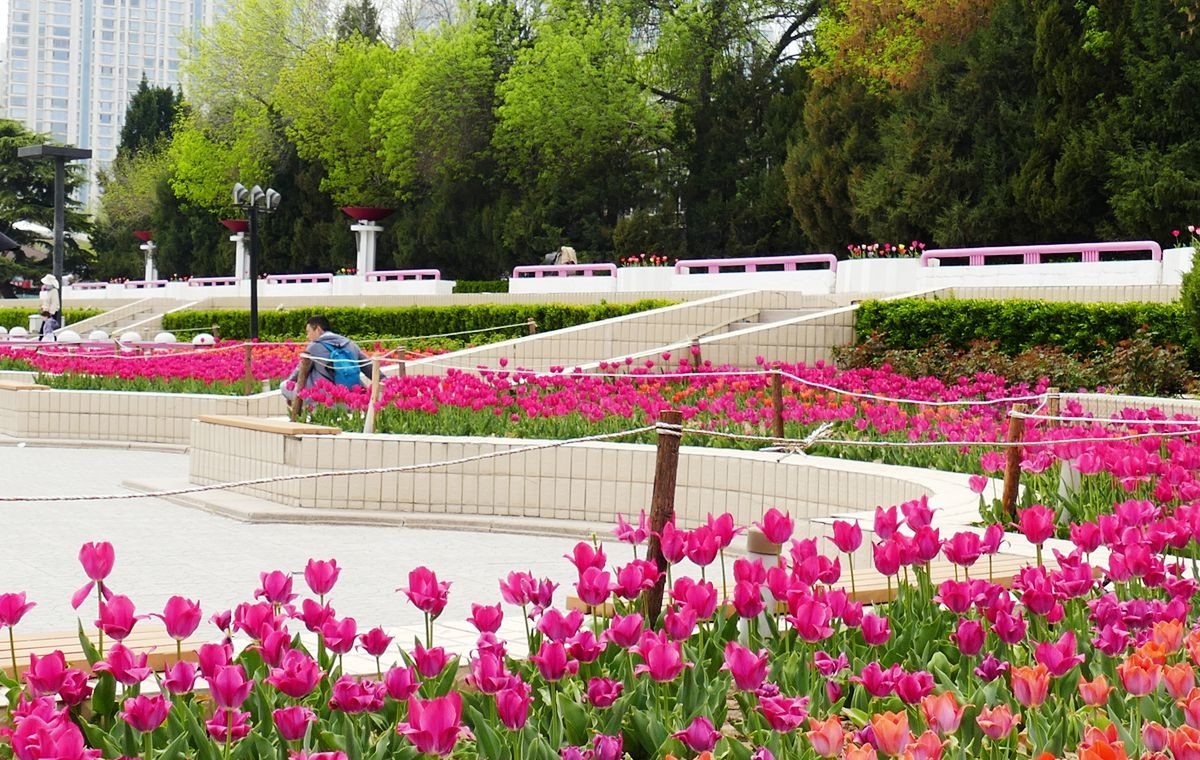 朝阳公园-春【下】