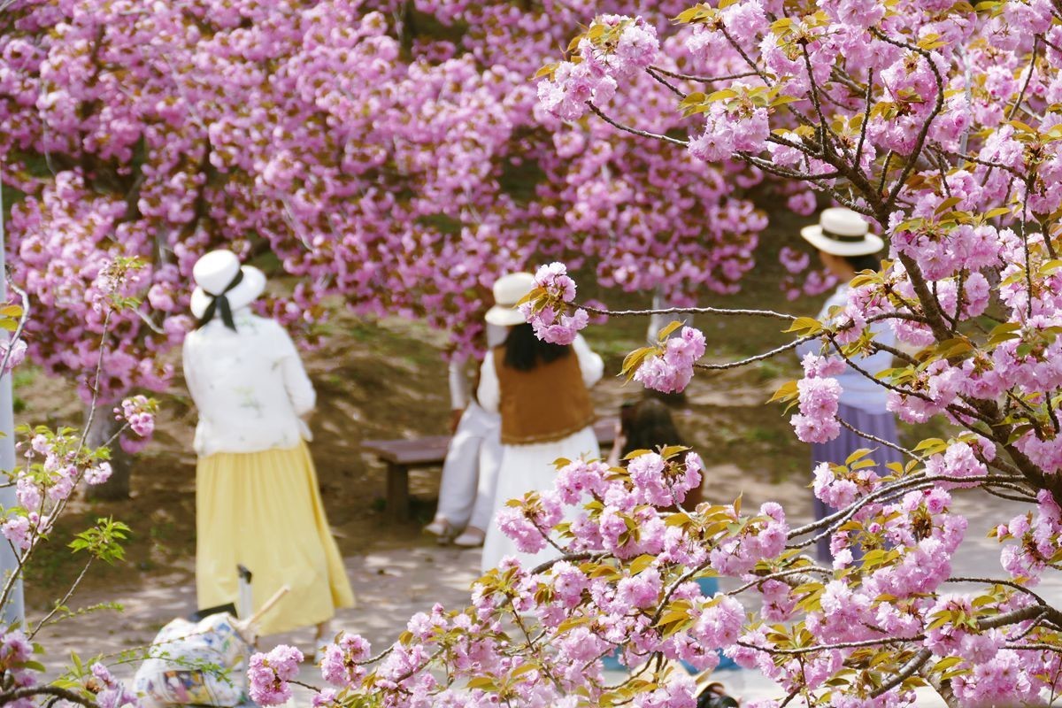 朝阳公园-春【下】