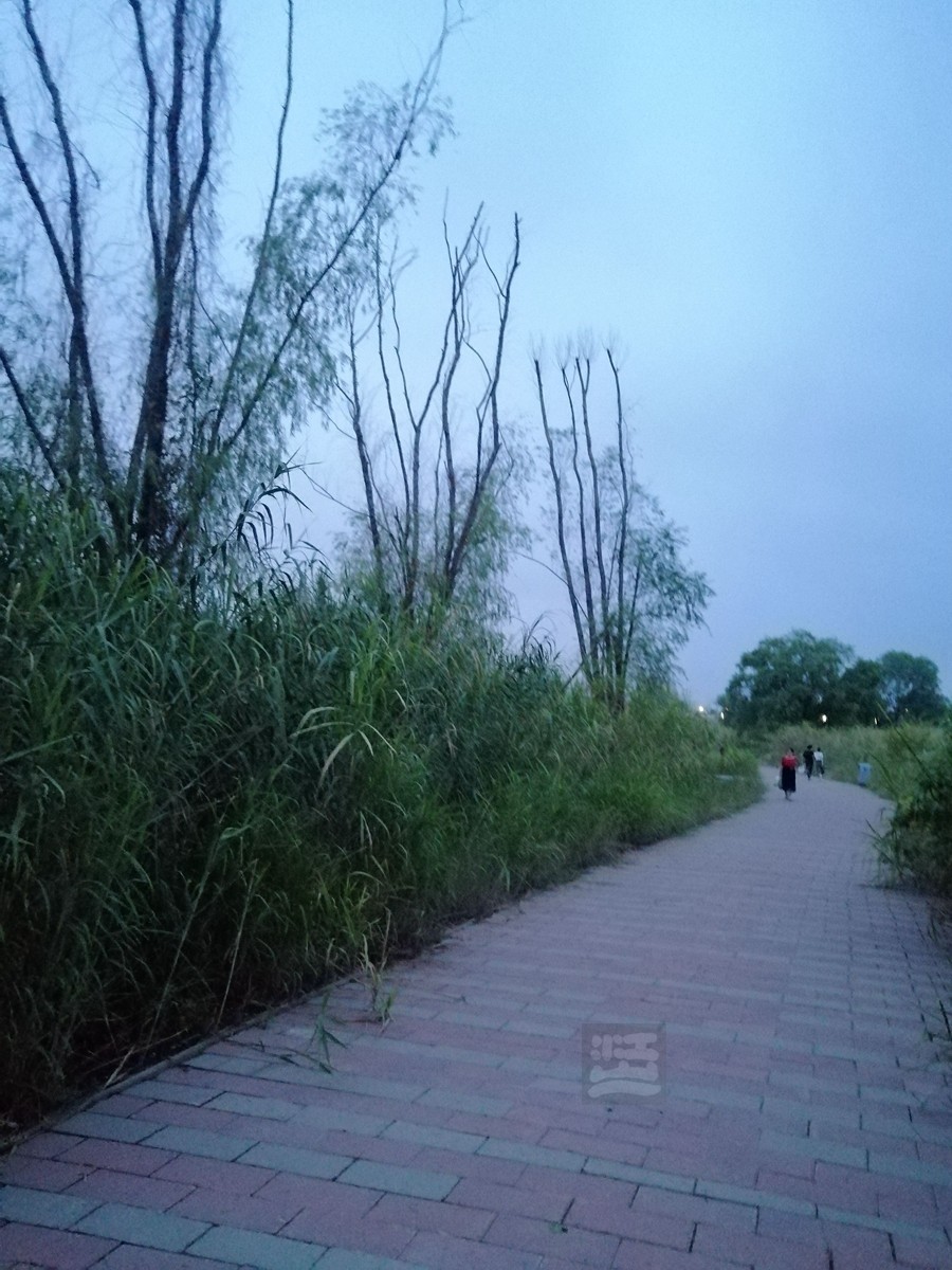 江滩亲水步道——武汉随笔