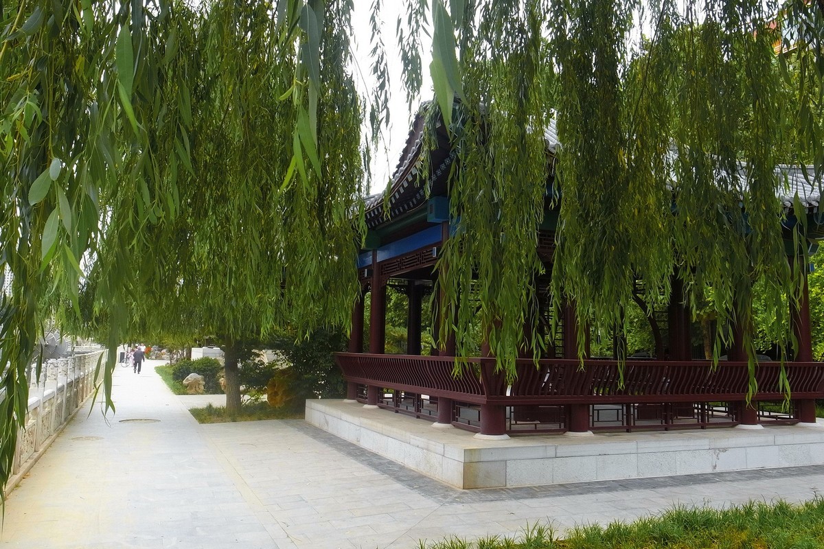 初夏·民心河畔