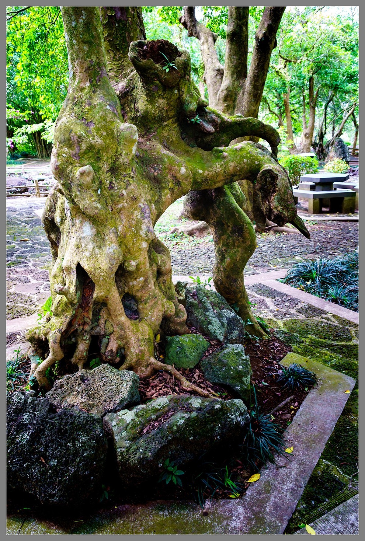 海南 海口04：“火山口”——雷琼世界地质公园（下）