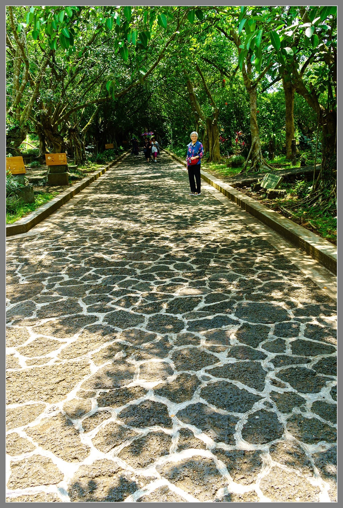 海南 海口04：“火山口”——雷琼世界地质公园（上）