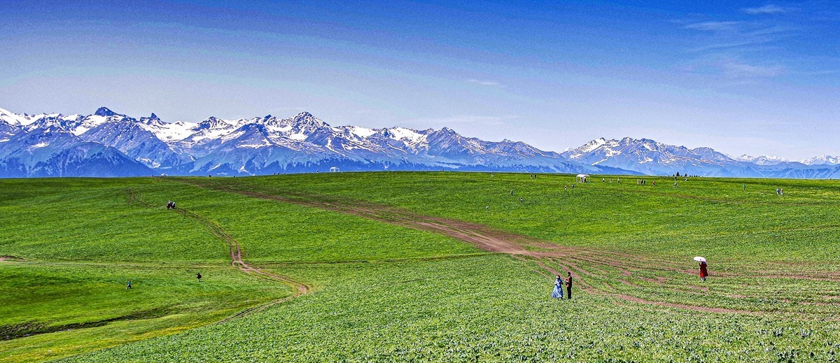 新疆行游--喀拉峻草原【7】