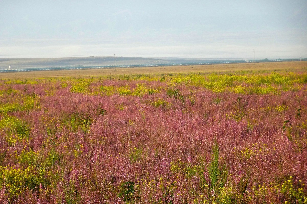 行驶在新疆伊昭公路上