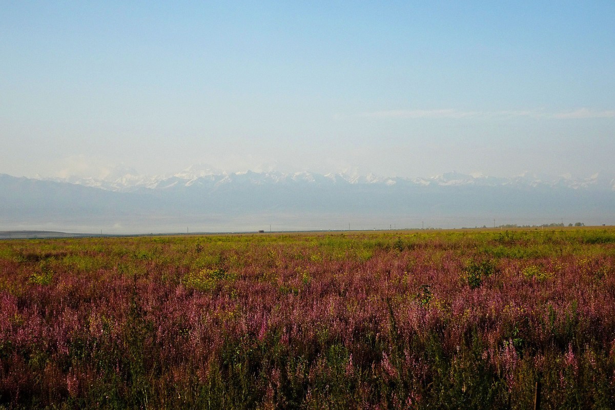 行驶在新疆伊昭公路上