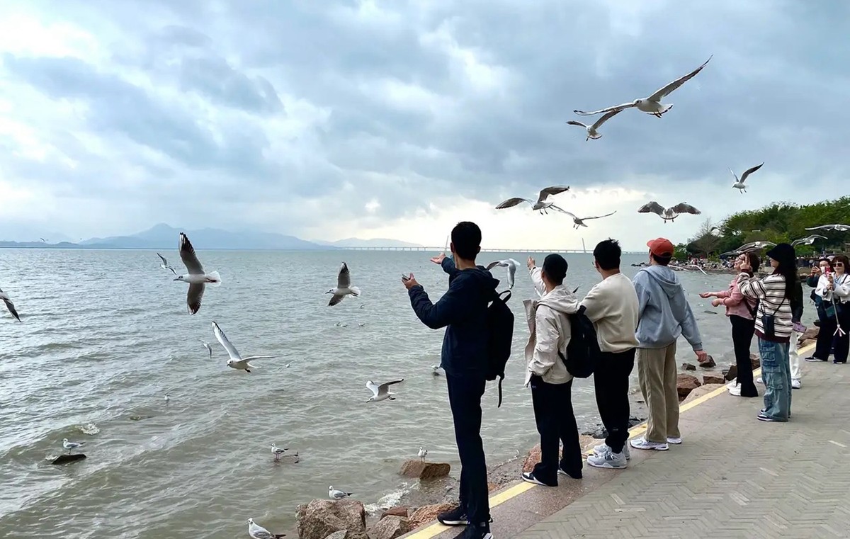 深圳湾-中关村在线摄影论坛