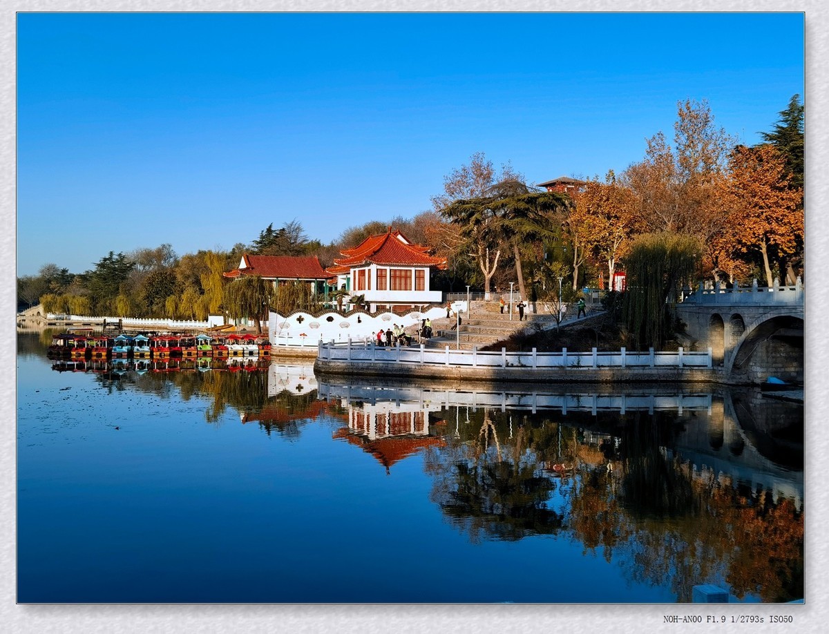 甲辰年冬拍【2024-204】