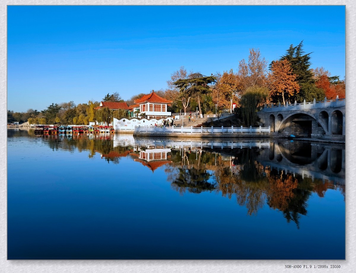 甲辰年冬拍【2024-204】