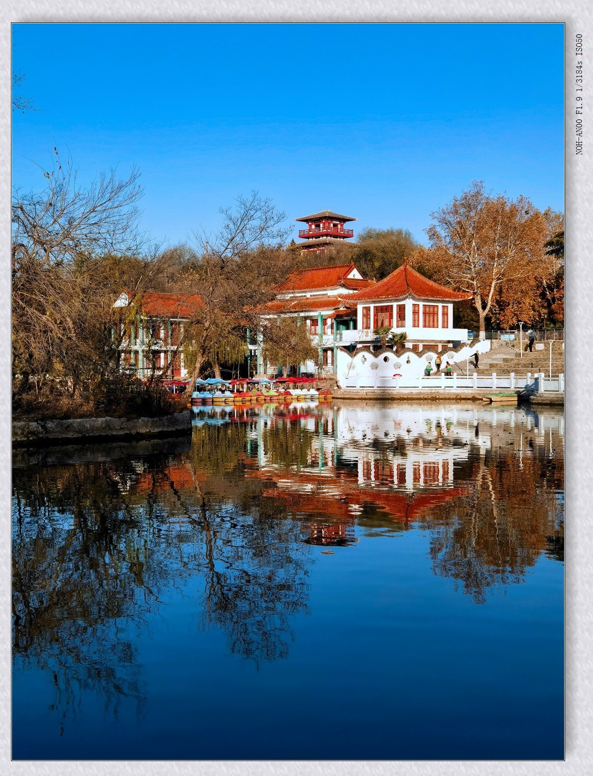 甲辰年冬拍【2024-204】