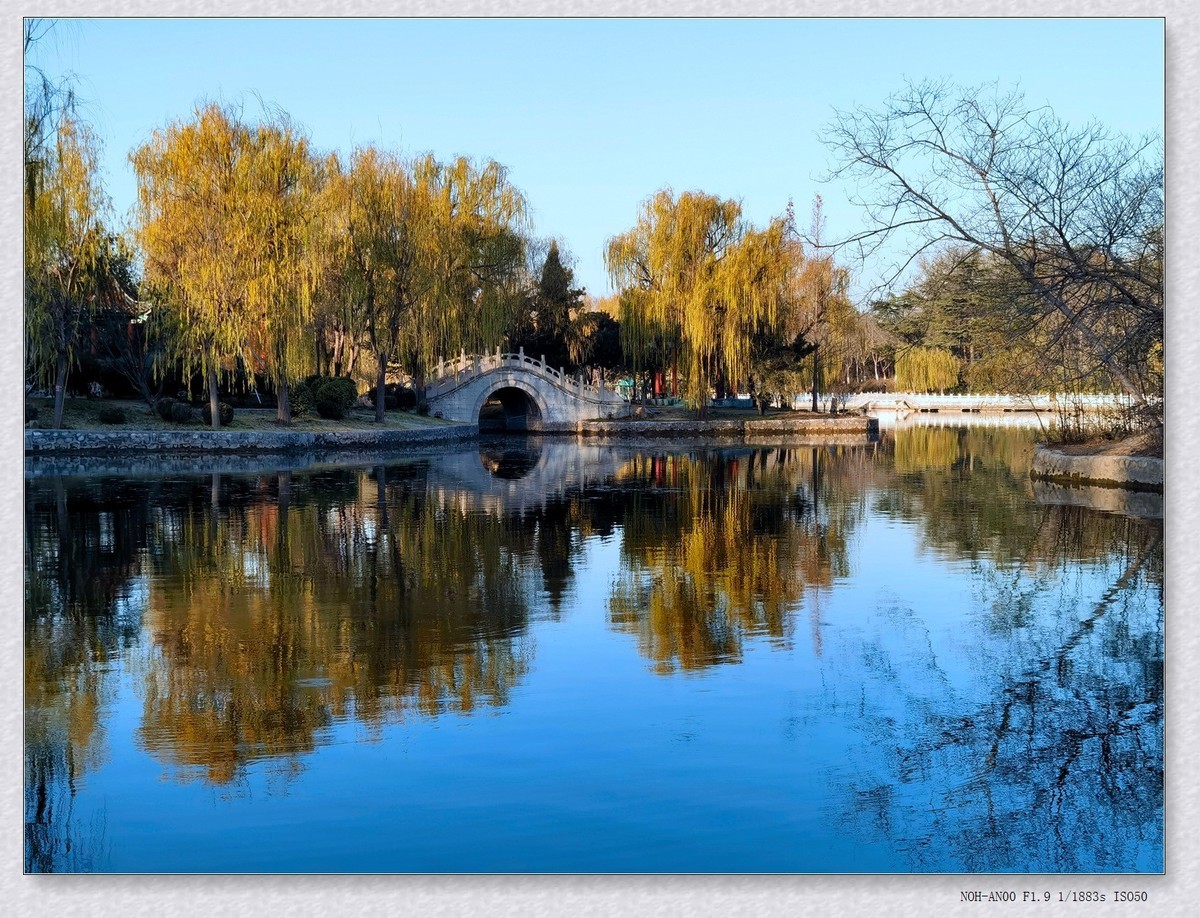 甲辰年冬拍【2024-204】