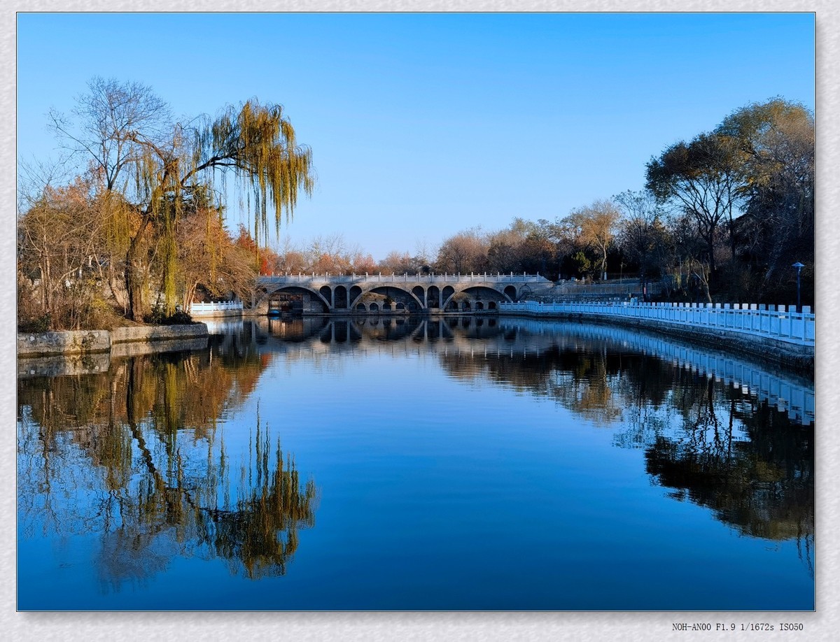 甲辰年冬拍【2024-204】