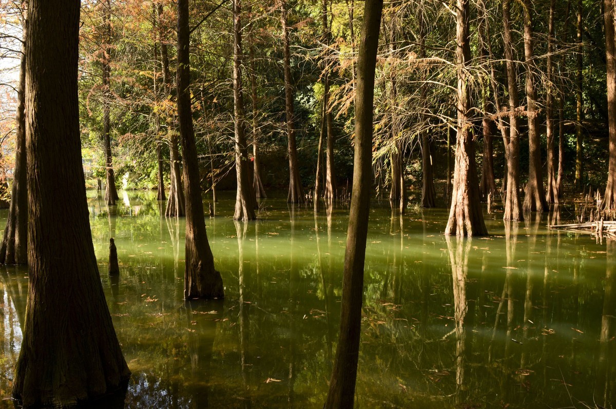 冬日景色如秋（二）