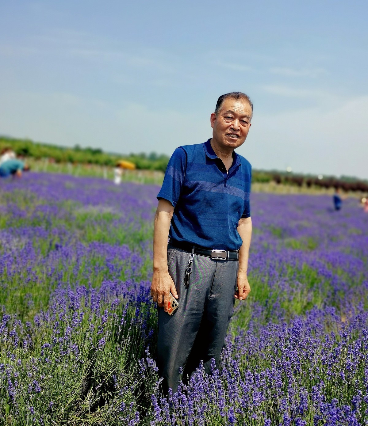 端午游渭北嵯峨山熏衣草基地、观赏秦腔大戏