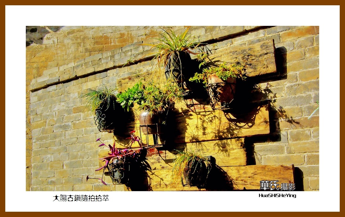 2020西西南北行游走山西080——大阳古镇随拍拾萃（晋城市泽州县）