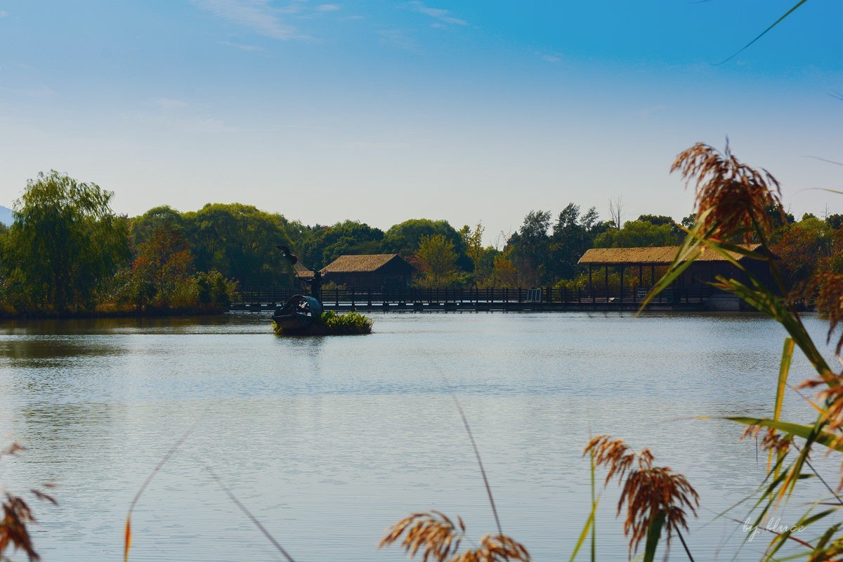 苏州太湖湿地公园秋景