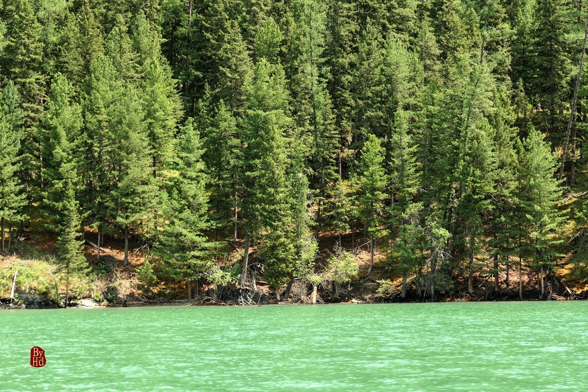 新疆游拍-喀纳斯3