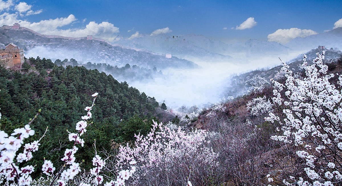 大美河北（1）金山岭长城的杏花节美景-----祝贺版主与影友们元旦快乐
