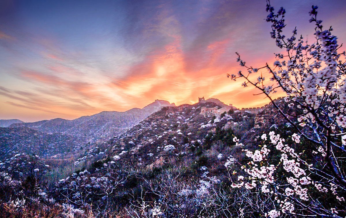 大美河北（1）金山岭长城的杏花节美景-----祝贺版主与影友们元旦快乐