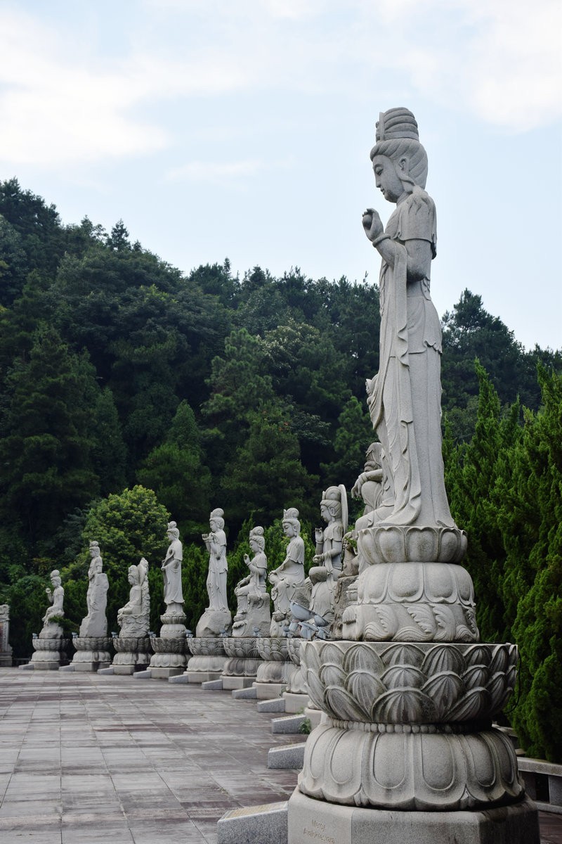 漫步星城 走街串巷（369）世界上最大的千手观音